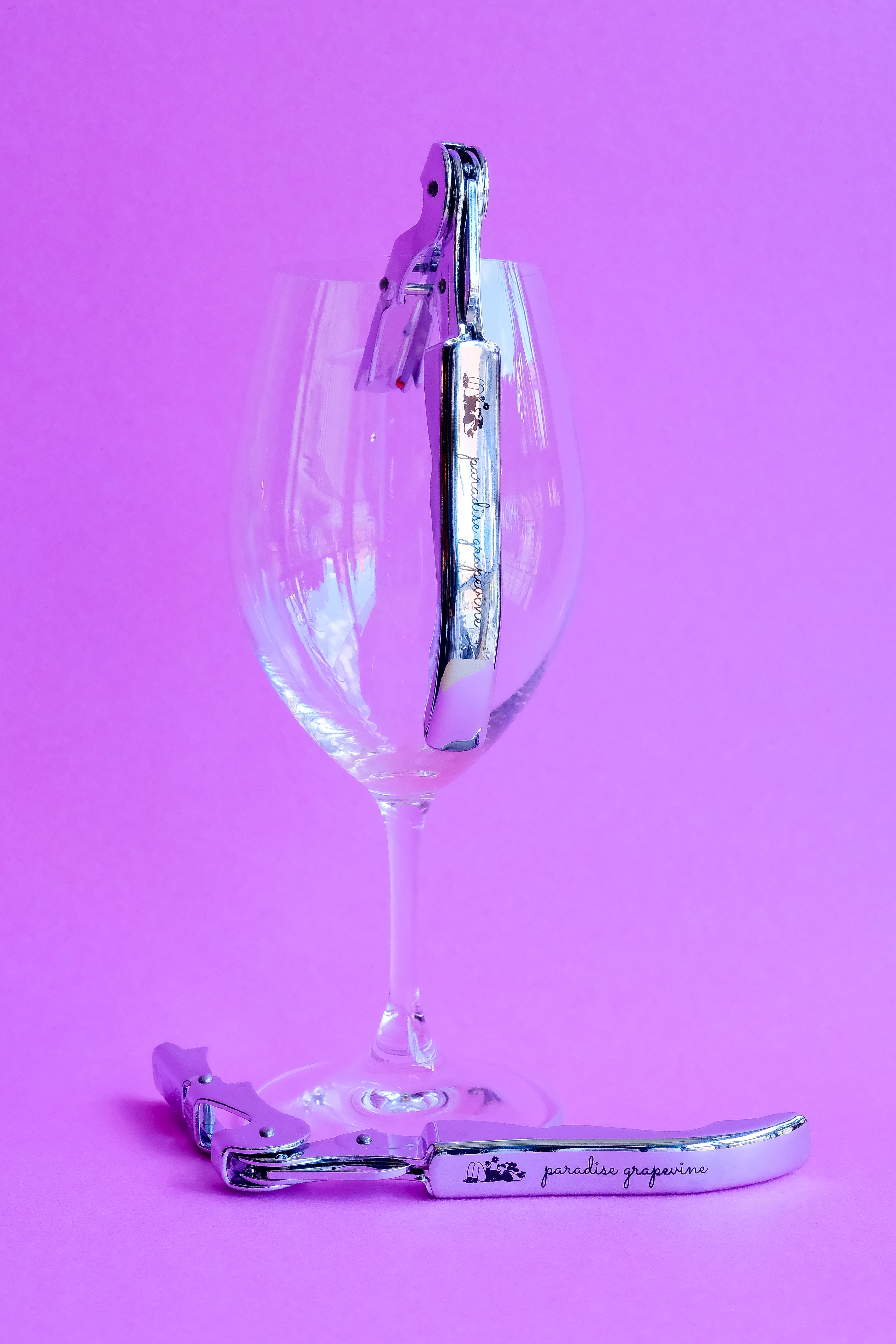 Paradise Grapevine Wine Key!