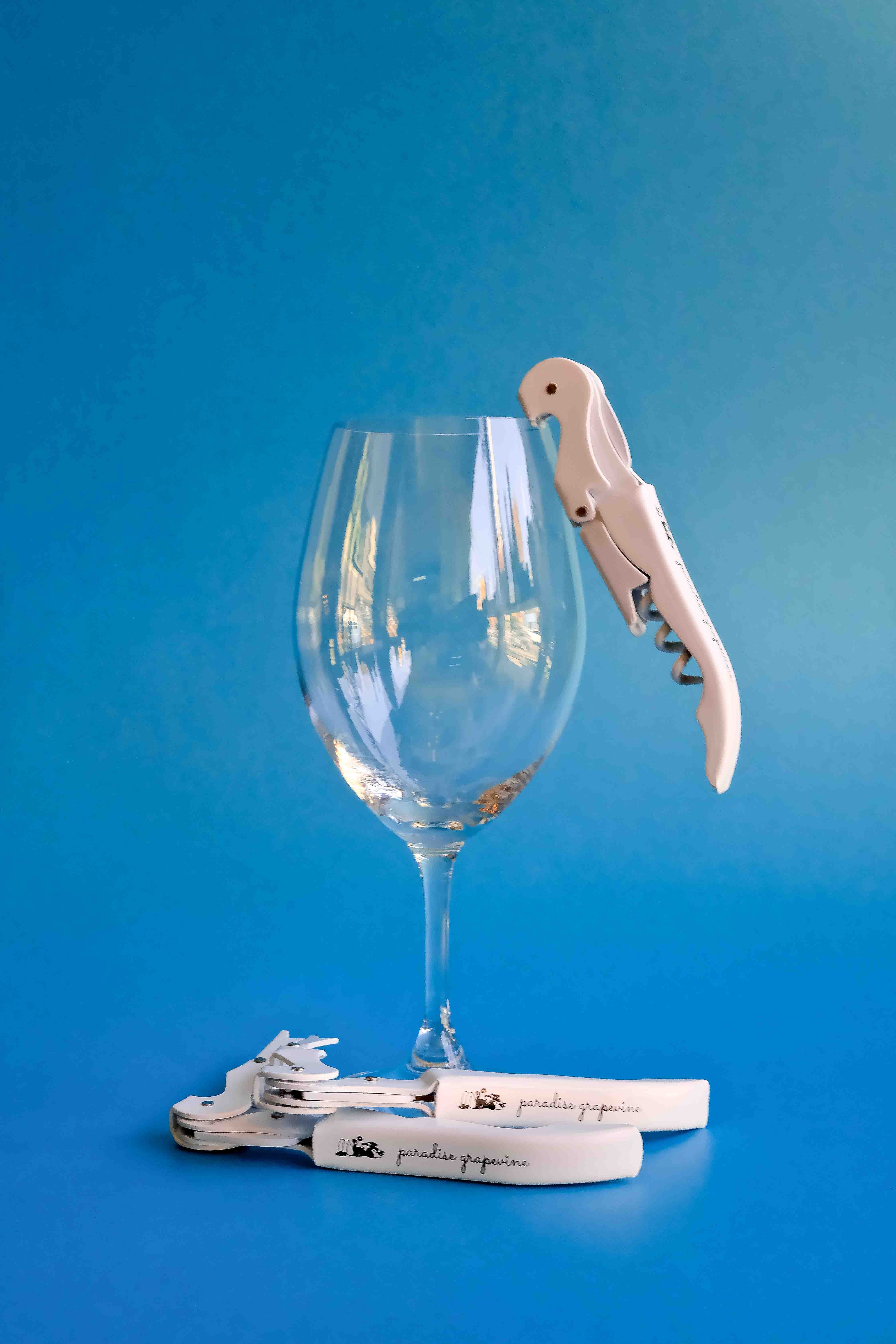 Paradise Grapevine Wine Key!