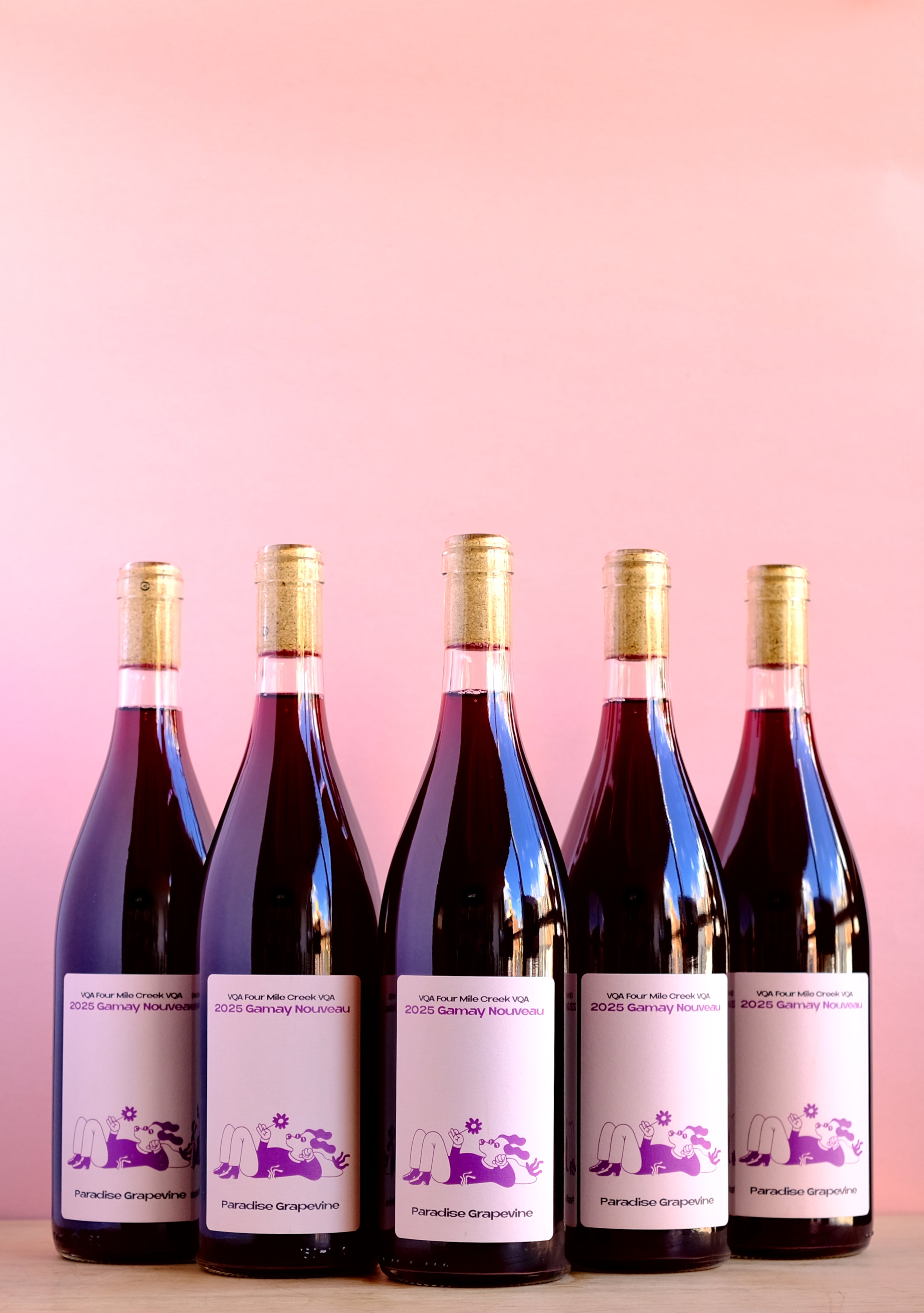 Gamay Nouveau 2025 750ml 6本セット 楽天市場】ガメイ ヌーヴォー [2025] 750ml ル ガメイ ドゥ ヴィノ